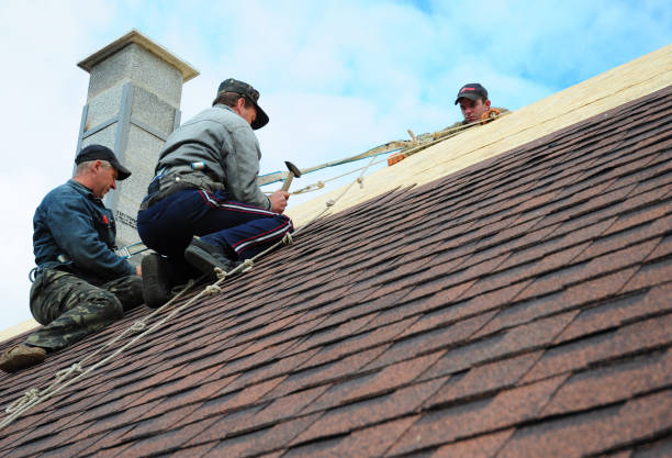 Roof Gutter Cleaning in Shrewsbury, MO